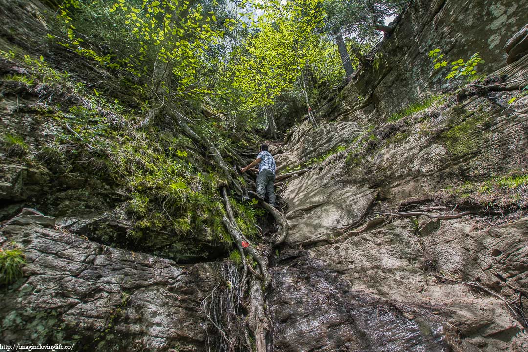 Rock Scramble With Roots And Branches